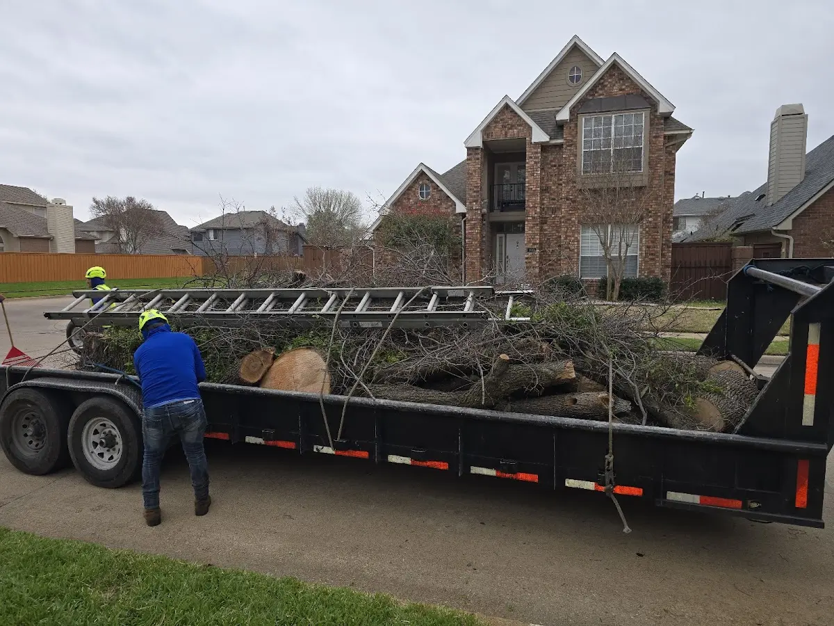 Expert Tree Removal with proper safety equipment in Cowansville